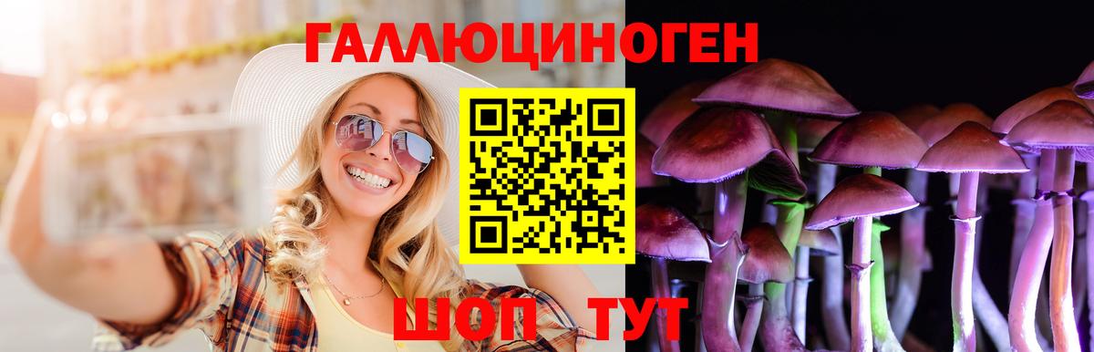Шелехов  Галлюциногенные грибы мицелий  Вход с VPN 