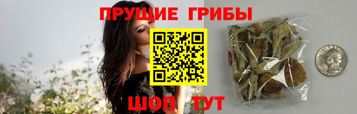 Галлюциногенные грибы GOLDEN TEACHER Шелехов